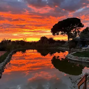 Glamping Oasis Camp Portugal, Lagoa (Algarve)